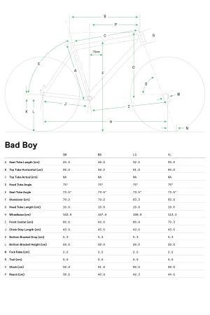 Geometria Rower męski Cannondale Bad Boy 1 BBQ