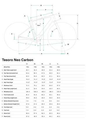 Geometria Rower elektryczny Cannondale Tesoro NEO Cabron 1 SGY