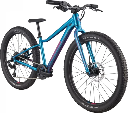 Rower dziecięcy Cannondale Kids Trial Plus 24" DTE