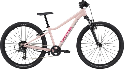 Przejdź do produktu Rower młodzieżowy Cannondale TRAIL 24" DPK