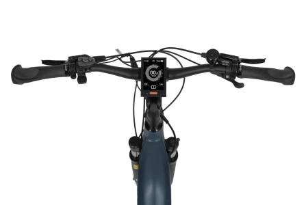 Rower elektryczny EcoBike D1 Trekking