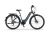 Rower elektryczny EcoBike D1 Trekking