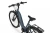 Rower elektryczny EcoBike D1 Trekking