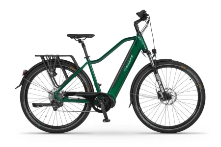 Rower elektryczny EcoBike MX300 Green