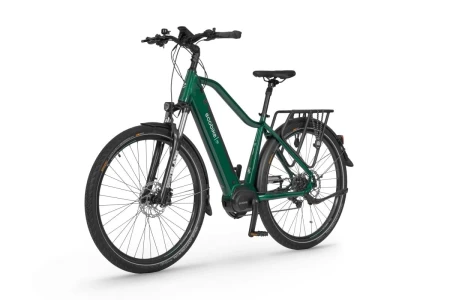 Rower elektryczny EcoBike MX300 Green