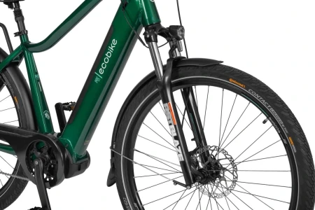 Rower elektryczny EcoBike MX300 Green