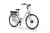 Rower elektryczny EcoBike Basic Nexus White new
