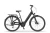 Rower elektryczny Ecobike LX 100 Black r.17