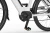 Rower elektryczny Ecobike LX 100 White r.17