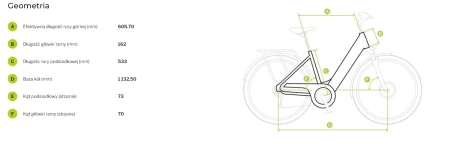 Geometria Rower elektryczny EcoBike LX 21 Black