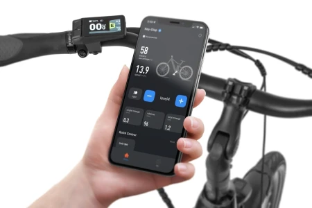 Rower elektryczny Ecobike LX 100 Black r.19