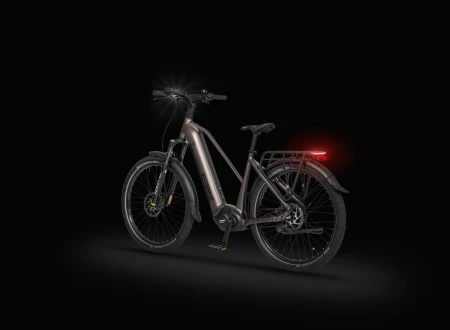 Rower elektryczny Ecobike Dare r.19