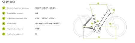 Geometria Rower elektryczny Ecobike Dare r.19