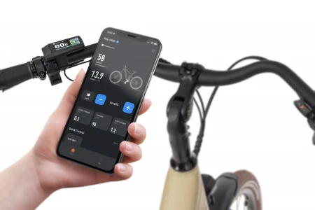 Rower elektryczny EcoBike X-City 17 Cappuccino r.19''