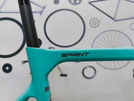 Rower Bianchi Sprint 105 emblematy
