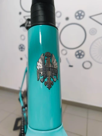 Rower Bianchi Sprint 105 główka ramy