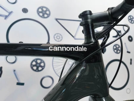 Rower Cannondale Topstone Carbon 4 emblematy