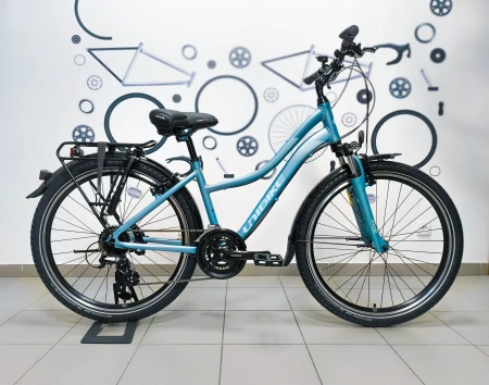 Rower Unibike Emotion EQ26