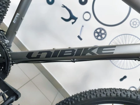 Rower Unibike Flash GTS rama