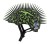 Kask dziecięcy juniorski RASKULLZ T-REX BONEZ MOHAWK black roz. XS TODDLER FS 3+ (48-52 cm) (NEW 2026) - rove.pl