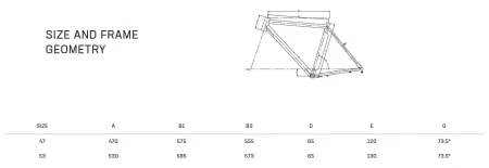Rower Bianchi Espillo Clas VB ALTUS8 GOIN YRBT2E ST Geometria