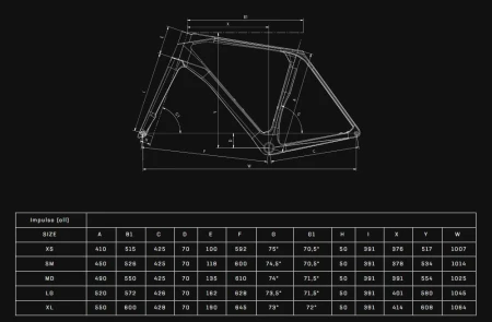 Rower Bianchi Impulso PRO GRX 820 disc 2x12sp YTB83I GK Geometria