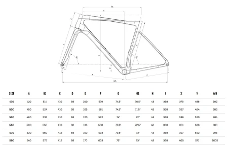 Rower Bianchi SPECIALISSIMA COMP RIVAL AXS YVB48I B9 geometria