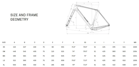 Rower Bianchi Arcadex COMP geometria