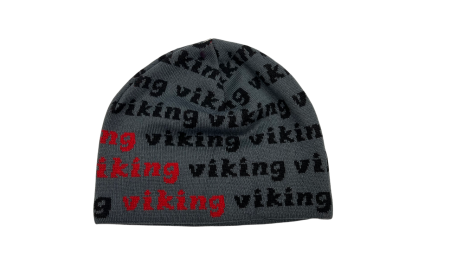 Czapka zimowa Viking Regular z logo Szara UNI