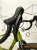 Rower Bianchi Arcadex AL 12SP UB YVBL3I