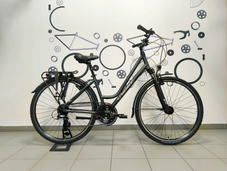 Rower Unibike Vision LDS