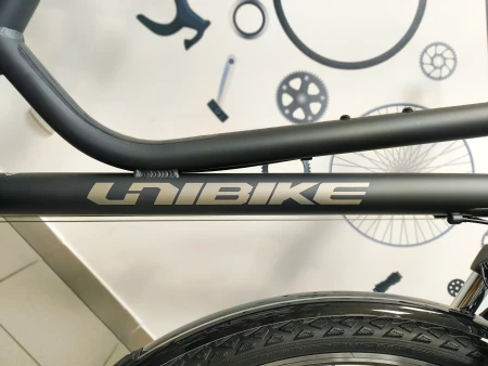 Rower Unibike Vision LDS