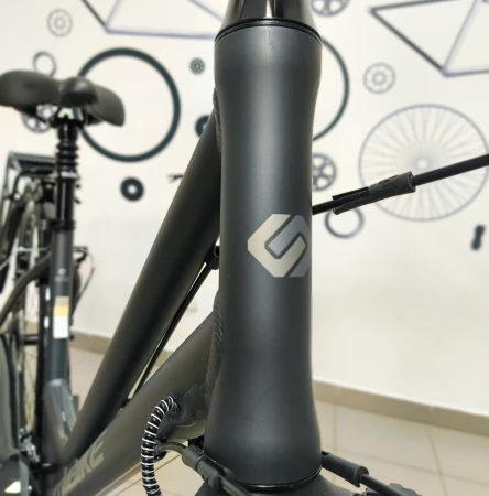 Rower Unibike Vision LDS