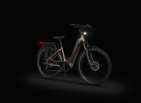 Rower elektryczny Ecobike LX 300 Onyx