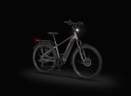 Rower elektryczny Ecobike MX 300 Golden Grey