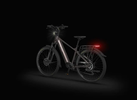 Rower elektryczny Ecobike MX 300 Golden Grey