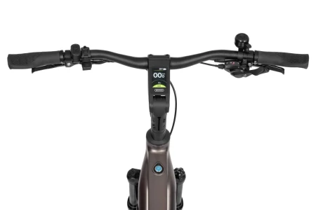 Rower elektryczny Ecobike MX 300 Golden Grey