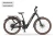 Rower elektryczny Ecobike Flex Black