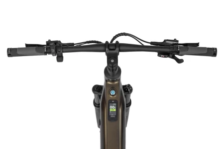 Rower elektryczny Ecobike SX 300 Green