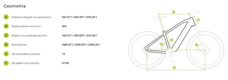 Rower elektryczny Ecobike SX 300 Green
