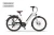Rower elektryczny Ecobike X-City White 26"
