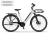 Rower elektryczny Ecobike LX 100 Automatic Pearl 19" + bagażnik