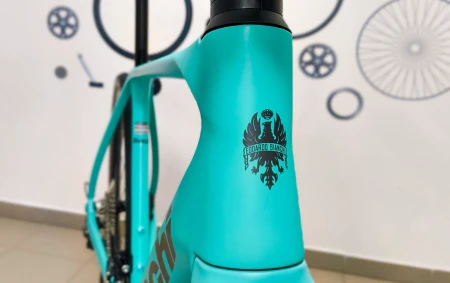 Rower Bianchi Impulso PRO główka ramy