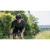Kask KASK Mojito 3 black M/52-58