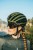Kask KASK Valegro Olive Green L - rove.pl