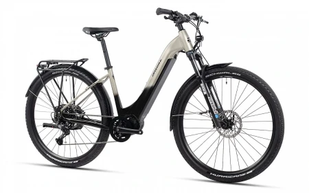 Rower elektryczny MAXBIKE Frida 29" Silver Sandstone
