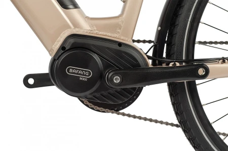 Rower elektryczny MAXBIKE Urbea 26" Silver Titan