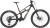 CANNONDALE BAD HABIT 1 RAW