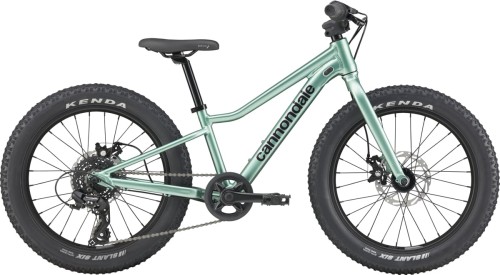 Przejdź do produktu Rower dziecięcy CANNONDALE KIDS TRAIL PLUS 20" CTG