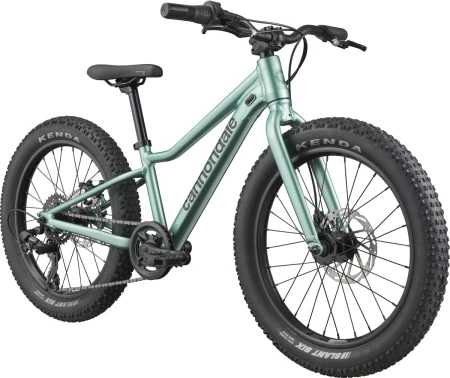 Rower dziecięcy CANNONDALE KIDS TRAIL PLUS 20" CTG